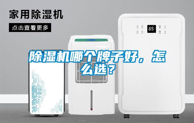 除濕機哪個牌子好，怎么選？