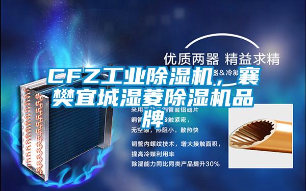 CFZ工業(yè)除濕機，襄樊宜城濕菱除濕機品牌