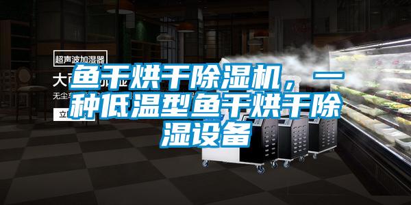 魚干烘干除濕機，一種低溫型魚干烘干除濕設備