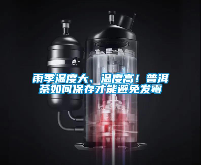 雨季濕度大、溫度高！普洱茶如何保存才能避免發霉