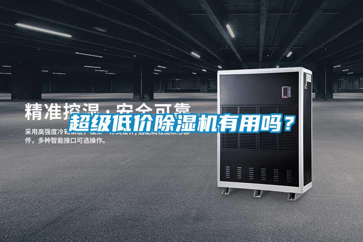 超級低價(jià)除濕機(jī)有用嗎？