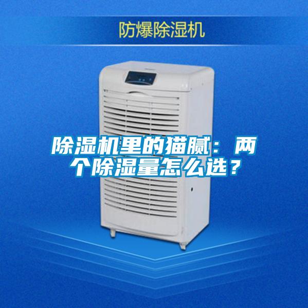 除濕機里的貓膩：兩個除濕量怎么選？