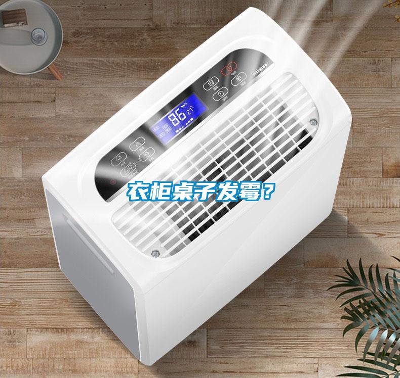 衣柜桌子發霉？