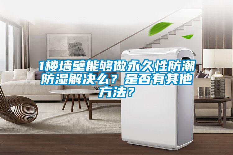 1樓墻壁能夠做永久性防潮防濕解決么?是否有其他方法?