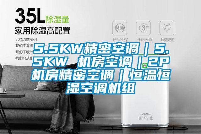 5.5KW精密空調(diào)｜5.5KW 機房空調(diào)｜2P機房精密空調(diào)｜恒溫恒濕空調(diào)機組