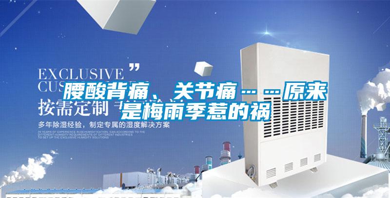 腰酸背痛、關(guān)節(jié)痛……原來是梅雨季惹的禍