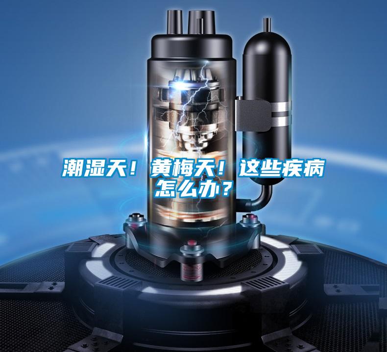 潮濕天！黃梅天！這些疾病怎么辦？