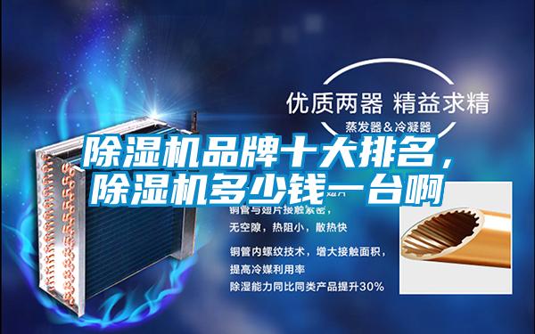 除濕機(jī)品牌十大排名，除濕機(jī)多少錢一臺(tái)啊