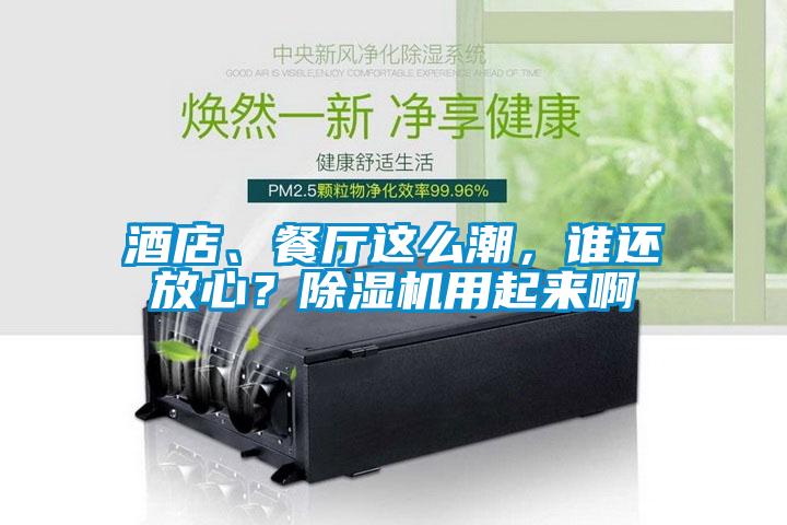 酒店、餐廳這么潮,誰還放心?除濕機(jī)用起來啊
