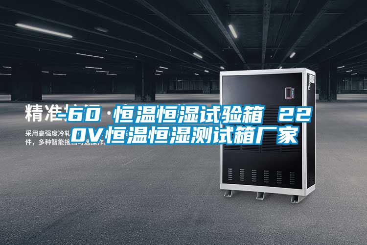 -60℃恒溫恒濕試驗(yàn)箱 220V恒溫恒濕測(cè)試箱廠家