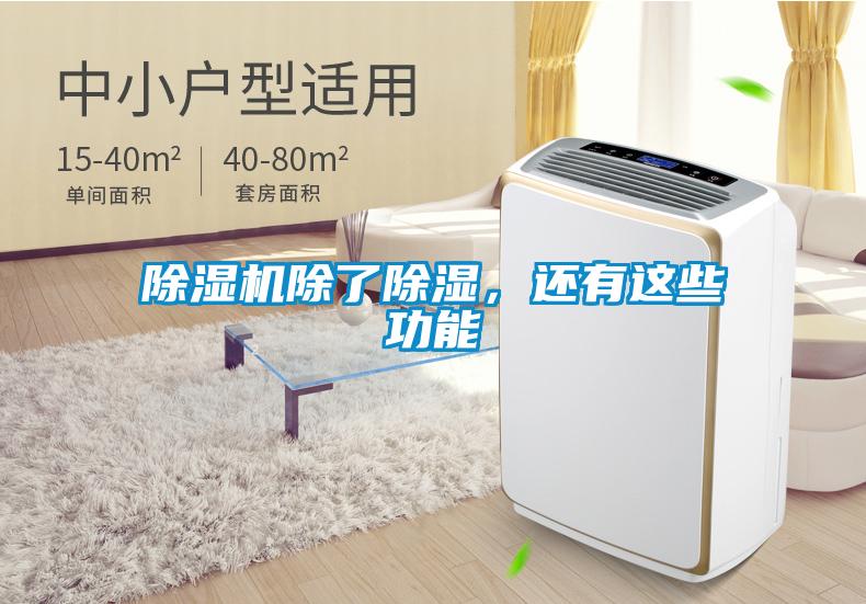 除濕機除了除濕,還有這些功能