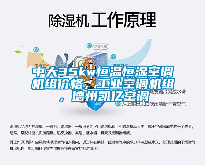 中大35kw恒溫恒濕空調機組價格,工業空調機組,德州凱億空調