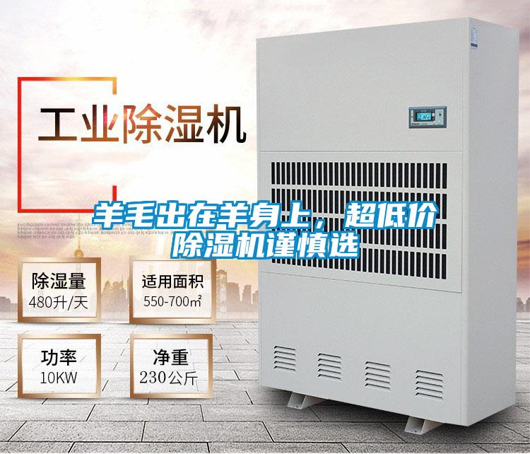 羊毛出在羊身上,超低價除濕機謹慎選