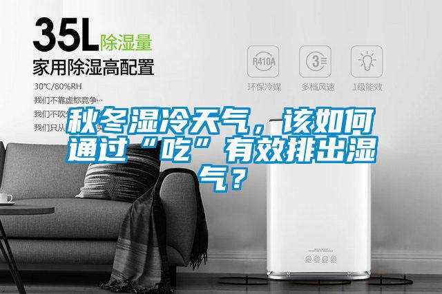 秋冬濕冷天氣，該如何通過“吃”有效排出濕氣？