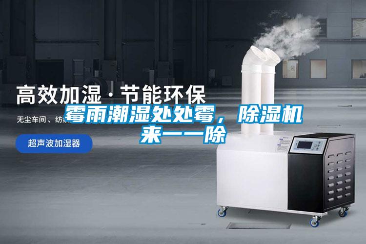 霉雨潮濕處處霉，除濕機(jī)來(lái)一一除