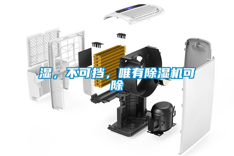 濕，不可擋，唯有除濕機可除