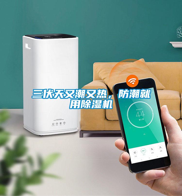 三伏天又潮又熱，防潮就用除濕機