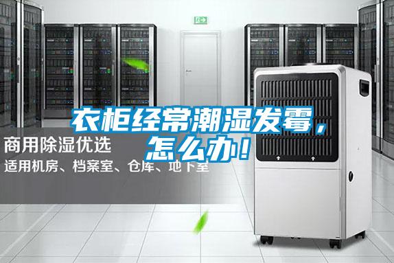 衣柜經(jīng)常潮濕發(fā)霉，怎么辦！