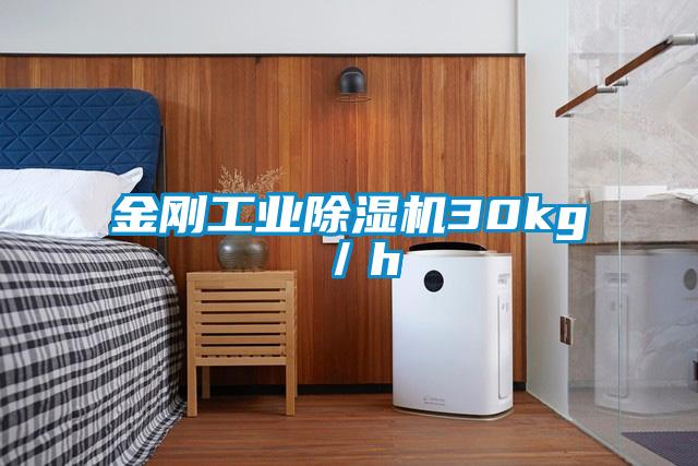 金剛工業除濕機30kg/h