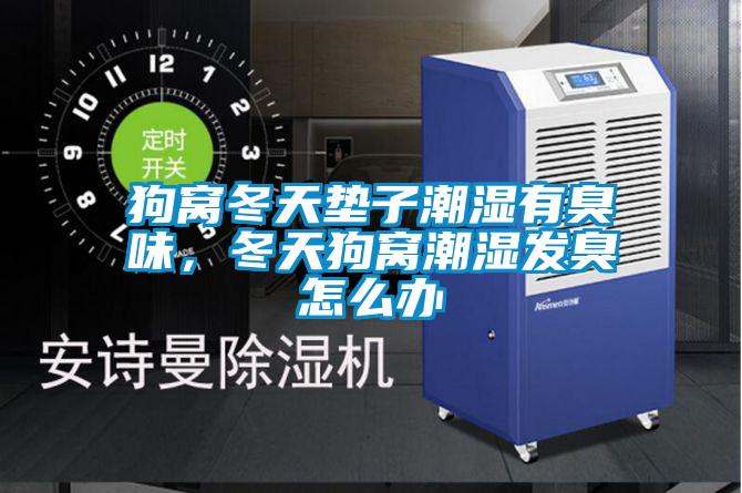 狗窩冬天墊子潮濕有臭味，冬天狗窩潮濕發臭怎么辦