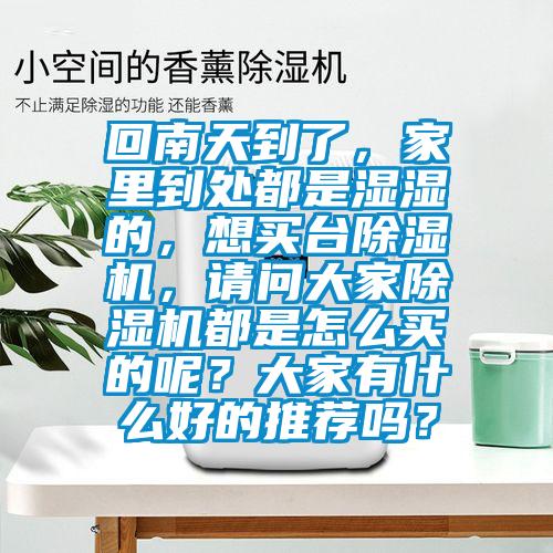 回南天到了，家里到處都是濕濕的，想買臺除濕機，請問大家除濕機都是怎么買的呢？大家有什么好的推薦嗎？