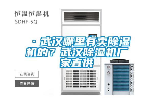 ·武漢哪里有賣除濕機的?武漢除濕機廠家直供