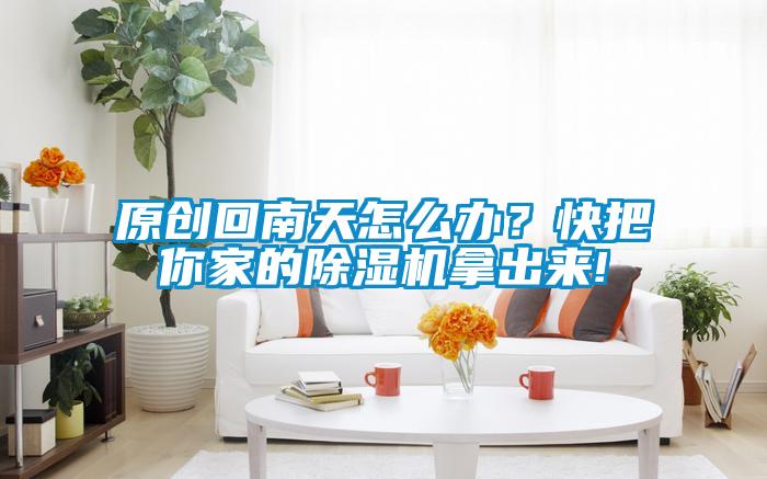 原創回南天怎么辦？快把你家的除濕機拿出來!
