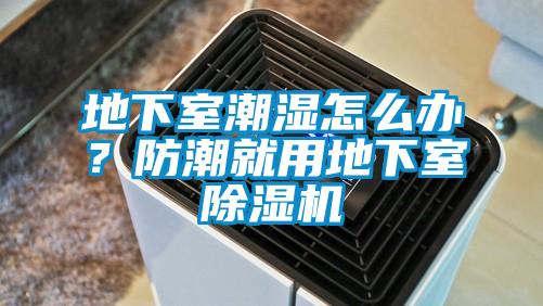 地下室潮濕怎么辦?防潮就用地下室除濕機