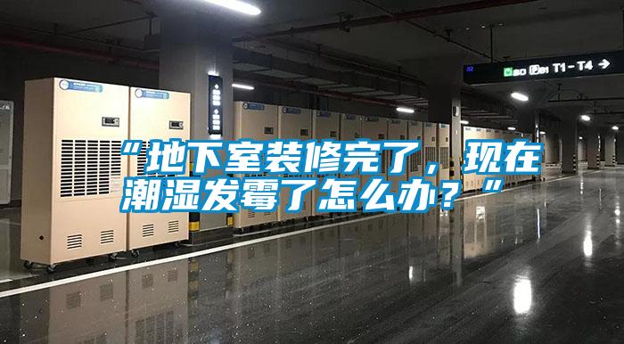 “地下室裝修完了，現在潮濕發霉了怎么辦？”