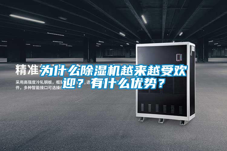 為什么除濕機(jī)越來(lái)越受歡迎？有什么優(yōu)勢(shì)？
