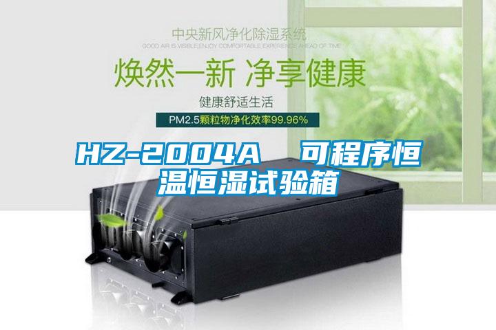 HZ-2004A 可程序恒溫恒濕試驗(yàn)箱