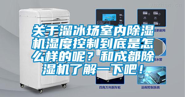 關(guān)于溜冰場(chǎng)室內(nèi)除濕機(jī)濕度控制到底是怎么樣的呢?和成都除濕機(jī)了解一下吧!