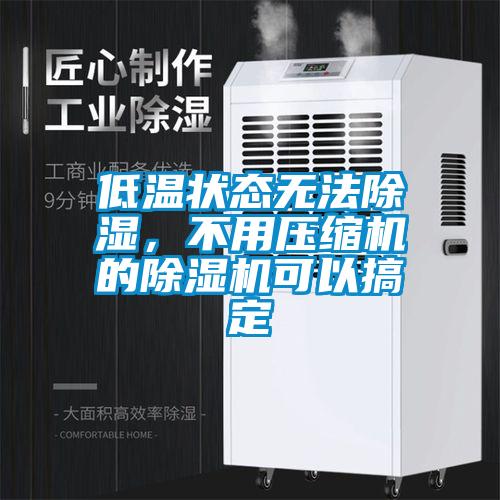 低溫狀態無法除濕,不用壓縮機的除濕機可以搞定