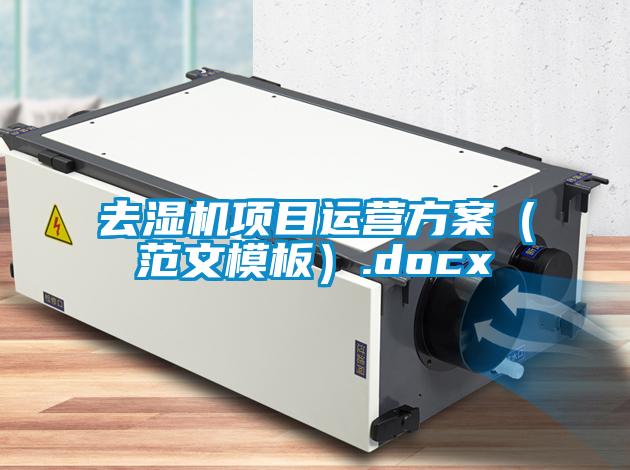 去濕機(jī)項(xiàng)目運(yùn)營(yíng)方案（范文模板）.docx