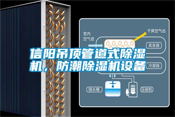 信陽吊頂管道式除濕機，防潮除濕機設(shè)備