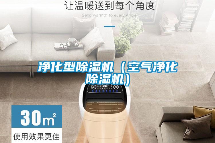 凈化型除濕機(空氣凈化除濕機)