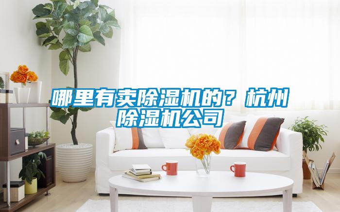 哪里有賣除濕機(jī)的？杭州除濕機(jī)公司