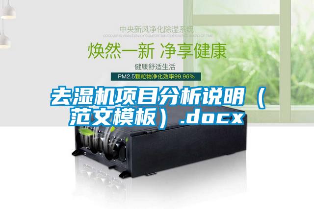 去濕機(jī)項(xiàng)目分析說(shuō)明(范文模板).docx