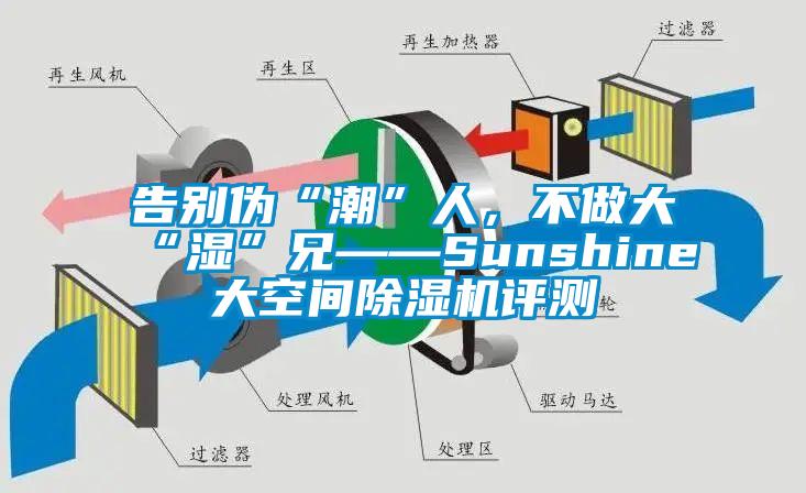 告別偽“潮”人,不做大“濕”兄——Sunshine大空間除濕機評測