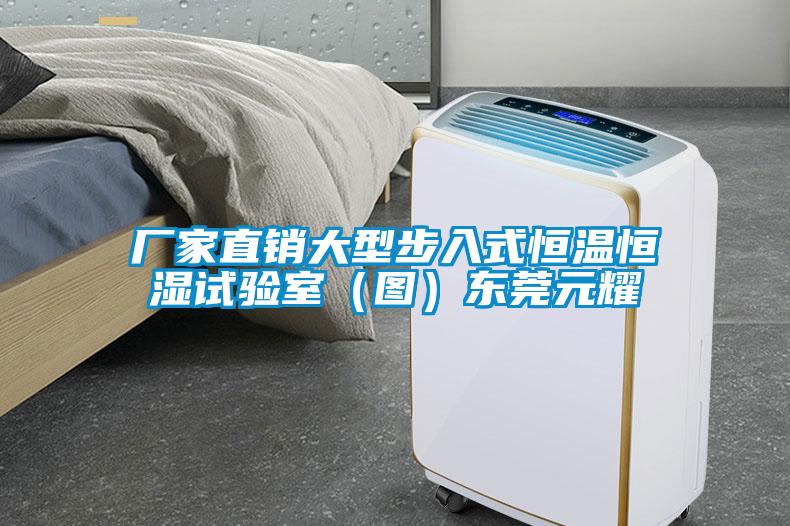廠家直銷大型步入式恒溫恒濕試驗室(圖)東莞元耀