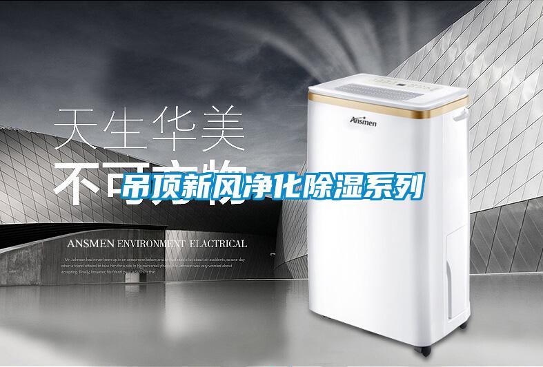 吊頂新風(fēng)凈化除濕系列