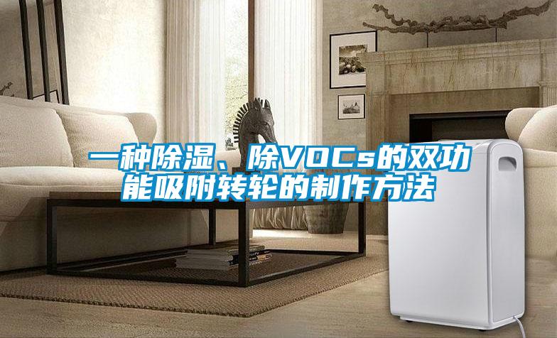 一種除濕、除VOCs的雙功能吸附轉輪的制作方法