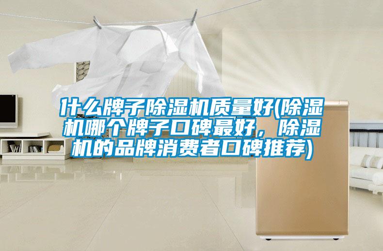 什么牌子除濕機(jī)質(zhì)量好(除濕機(jī)哪個(gè)牌子口碑最好，除濕機(jī)的品牌消費(fèi)者口碑推薦)