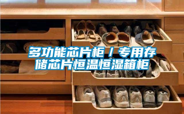 多功能芯片柜/專用存儲芯片恒溫恒濕箱柜