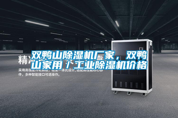 雙鴨山除濕機廠家，雙鴨山家用／工業除濕機價格