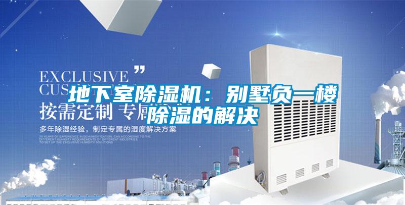 地下室除濕機(jī)：別墅負(fù)一樓除濕的解決