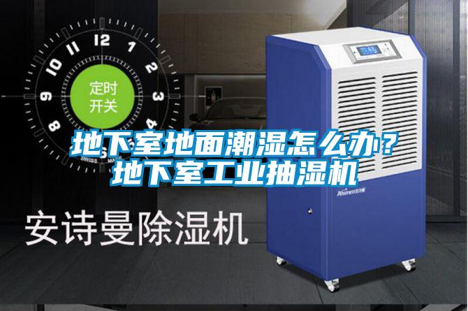地下室地面潮濕怎么辦?地下室工業(yè)抽濕機