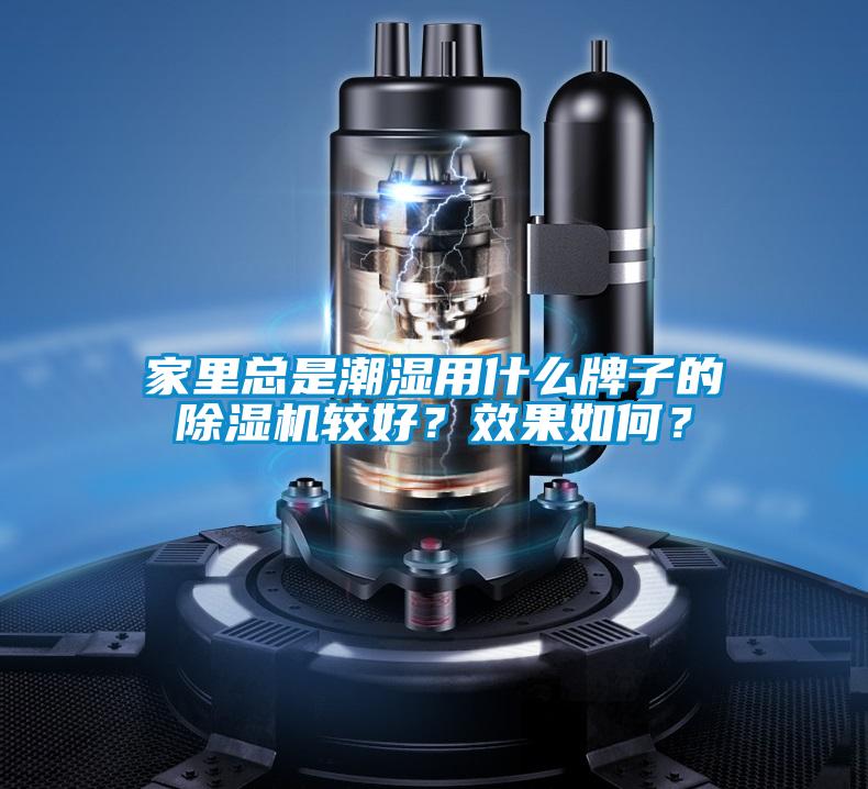 家里總是潮濕用什么牌子的除濕機較好？效果如何？