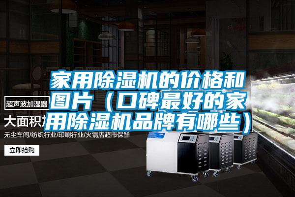 家用除濕機(jī)的價(jià)格和圖片(口碑最好的家用除濕機(jī)品牌有哪些)