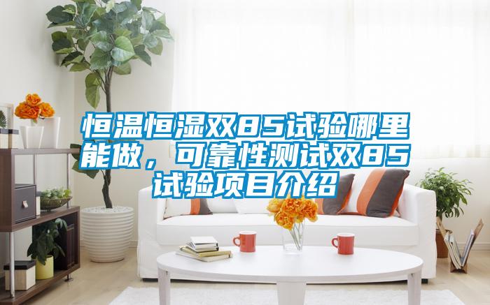 恒溫恒濕雙85試驗哪里能做,可靠性測試雙85試驗項目介紹